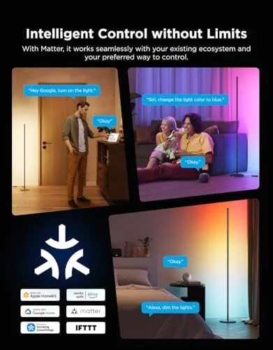 Govee RGBIC Floor Lamp Basic - 1000lm LED Corner Lamp Compatible with SmartThings, Alexa, and Matter, Modern Floor Lamp with Music Sync and 16 Million