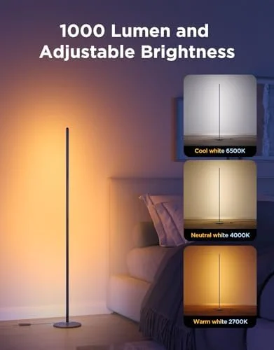 Govee RGBIC Floor Lamp Basic - 1000lm LED Corner Lamp Compatible with SmartThings, Alexa, and Matter, Modern Floor Lamp with Music Sync and 16 Million